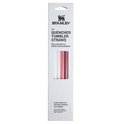 Adventure Quencher Travel Tumbler Straws | 30 OZ | 4-Pack - CID8